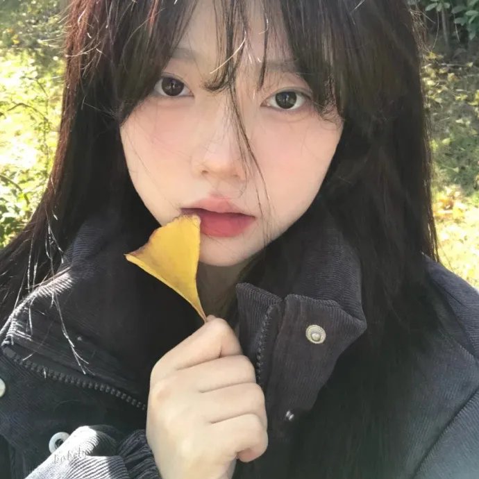 我的阿米什人双重生活
